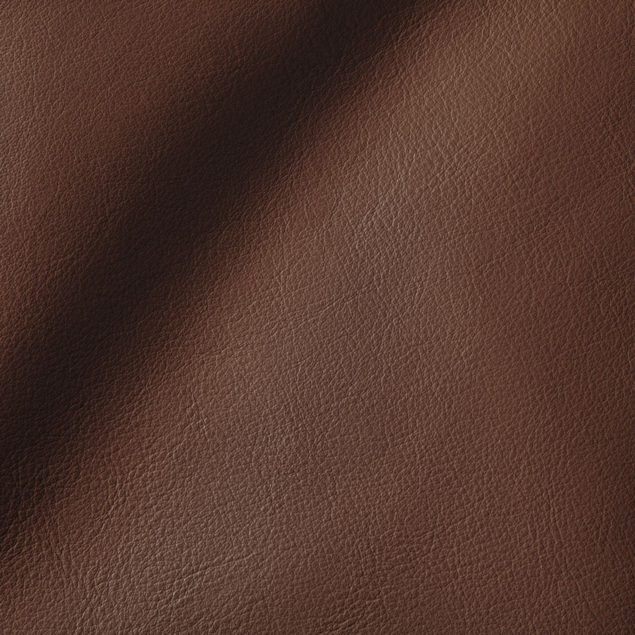 City Caramel