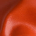 Star Arancio