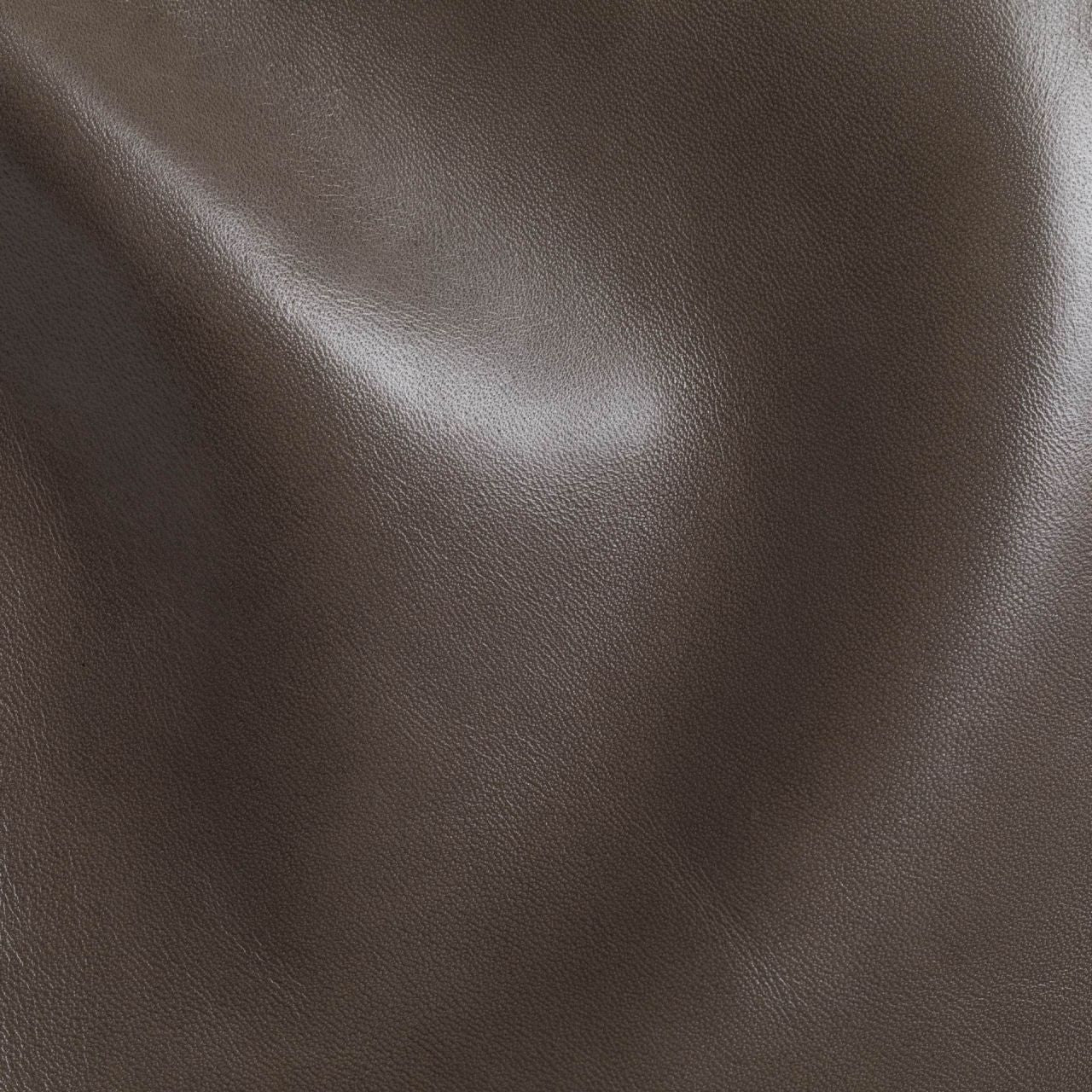 Star Smoke Grey