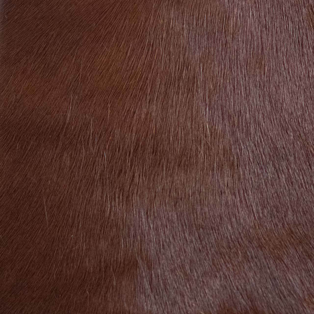 Rodeo Hairy Sigaro
