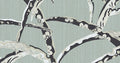 Daika Olivine