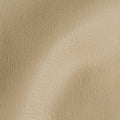 City Sand Stone