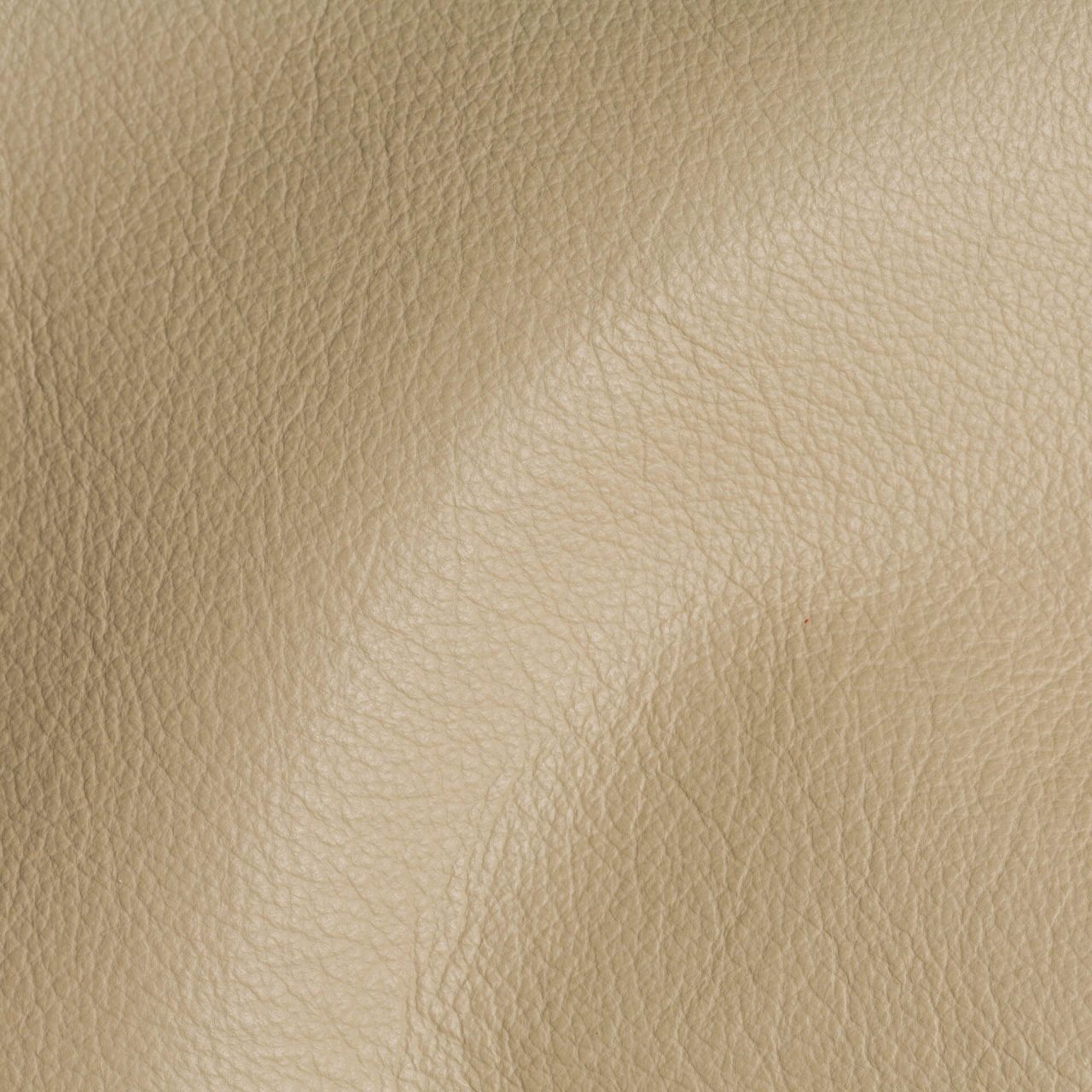 City Sand Stone