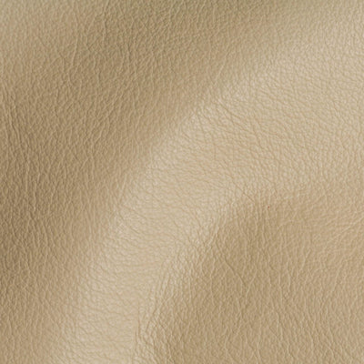 City Sand Stone