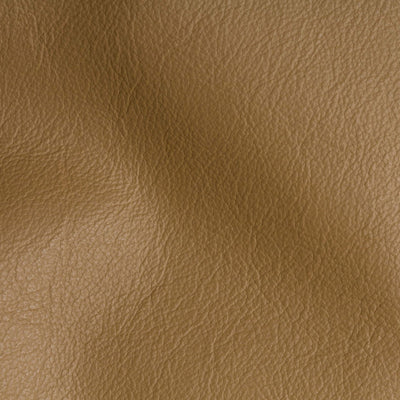City Walnut