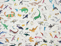 Encyclopedie Multicolore - Dessine Moi Un Mur !