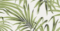 Palm Greenery