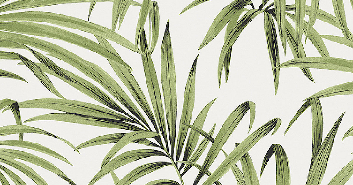 Palm Greenery