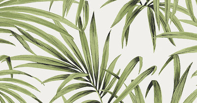 Palm Greenery