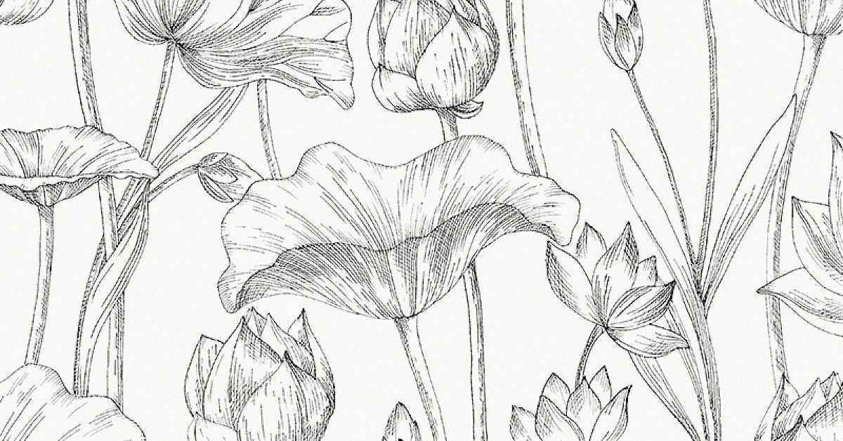 Lotus Black