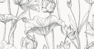 Lotus Black