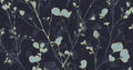 Alder Teal