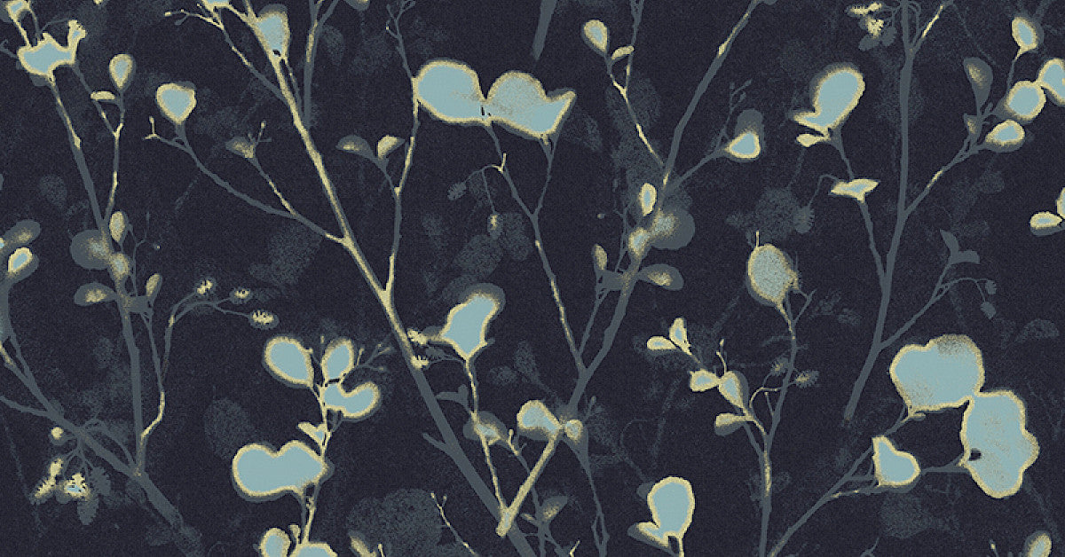 Alder Teal