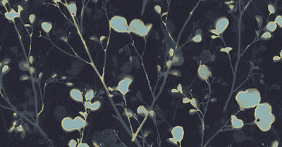 Alder Teal