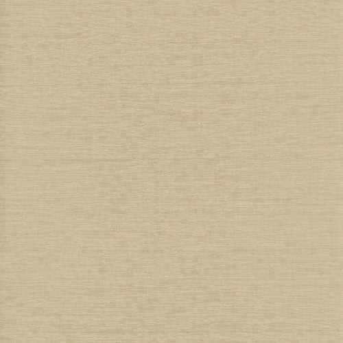 Loom Stories - LS401