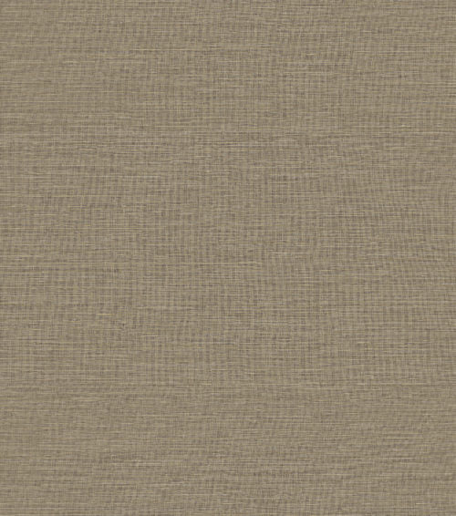 Loom Stories - LS404