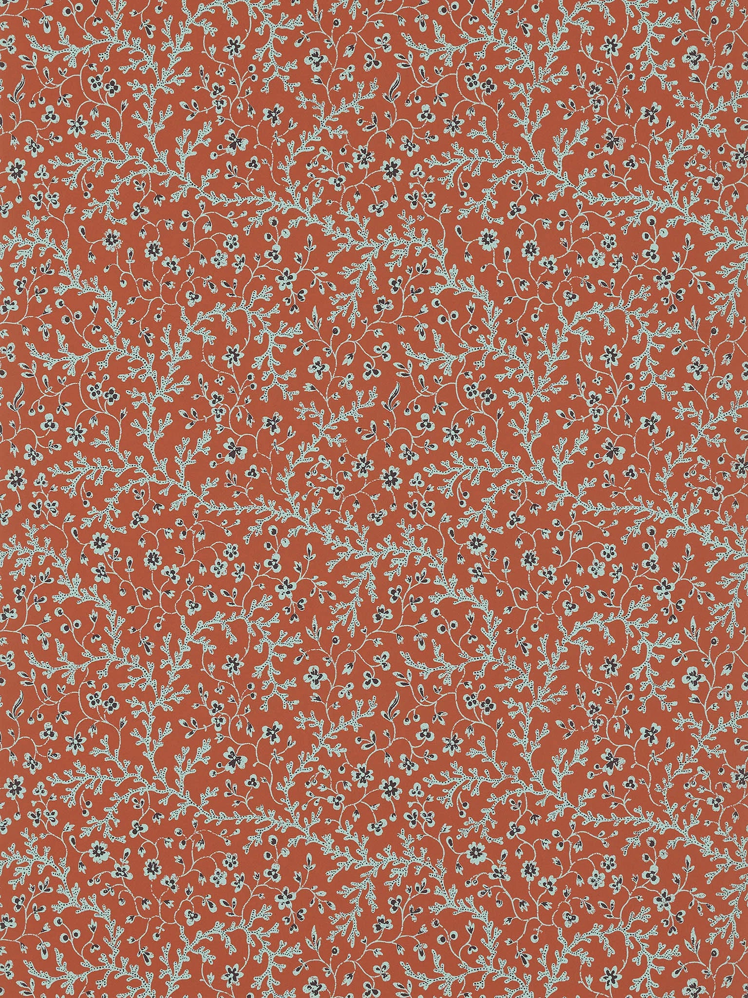 Fleurs de corail Creme - Eternel Ete