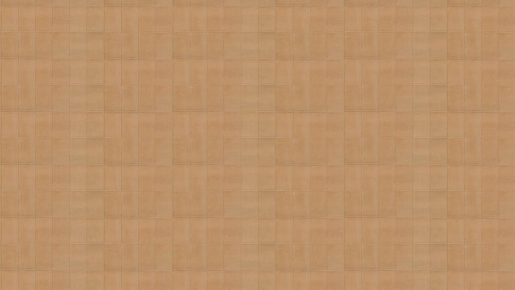 Avenio Camel - Corium
