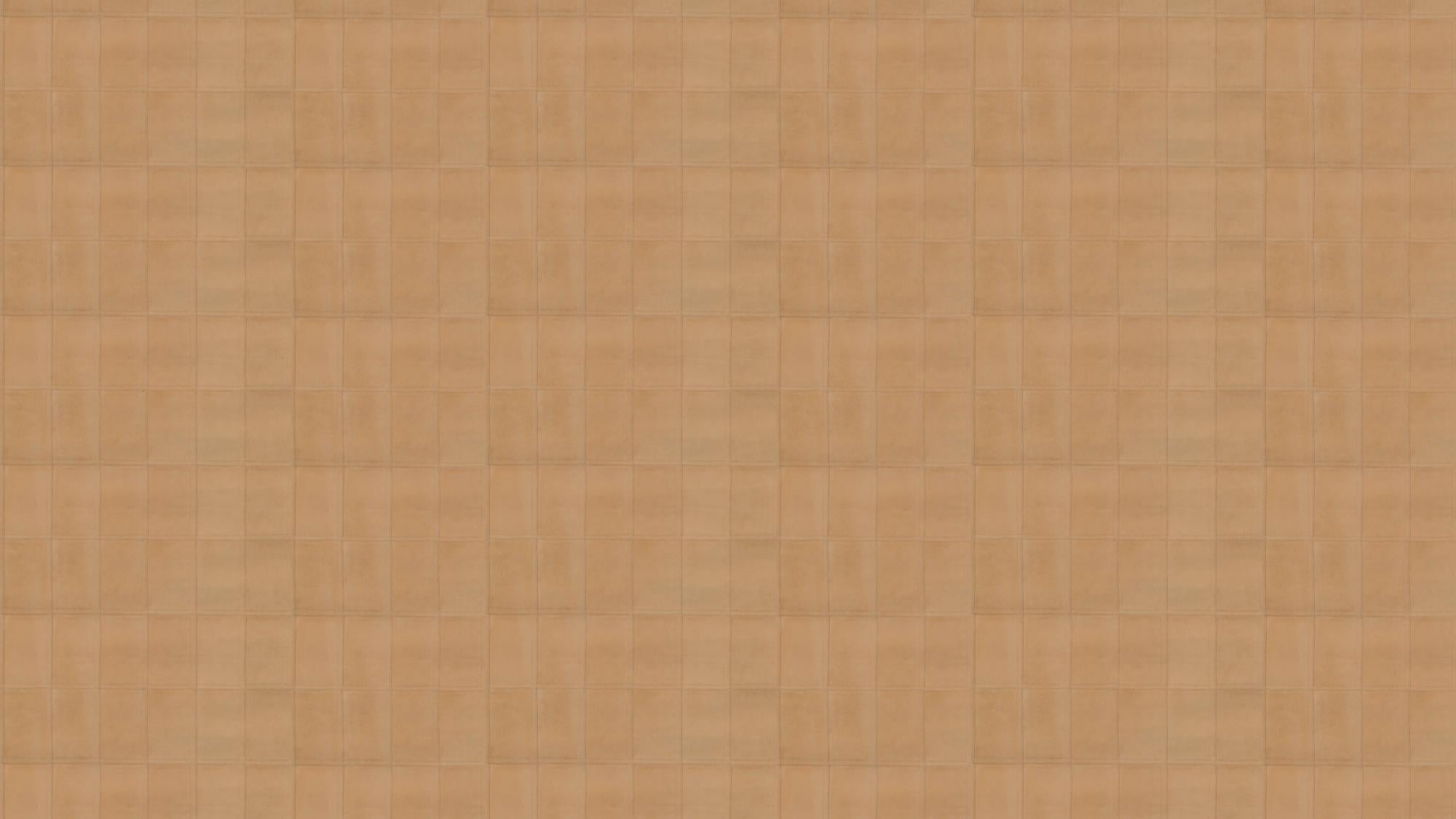 Avenio Camel - Corium