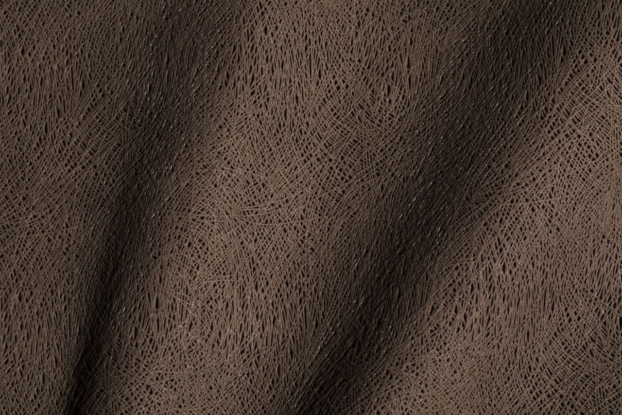 Entropia Carruba