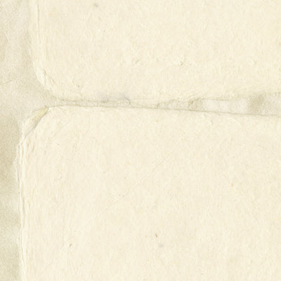 Nishino Les traces de la grâce - Hanji