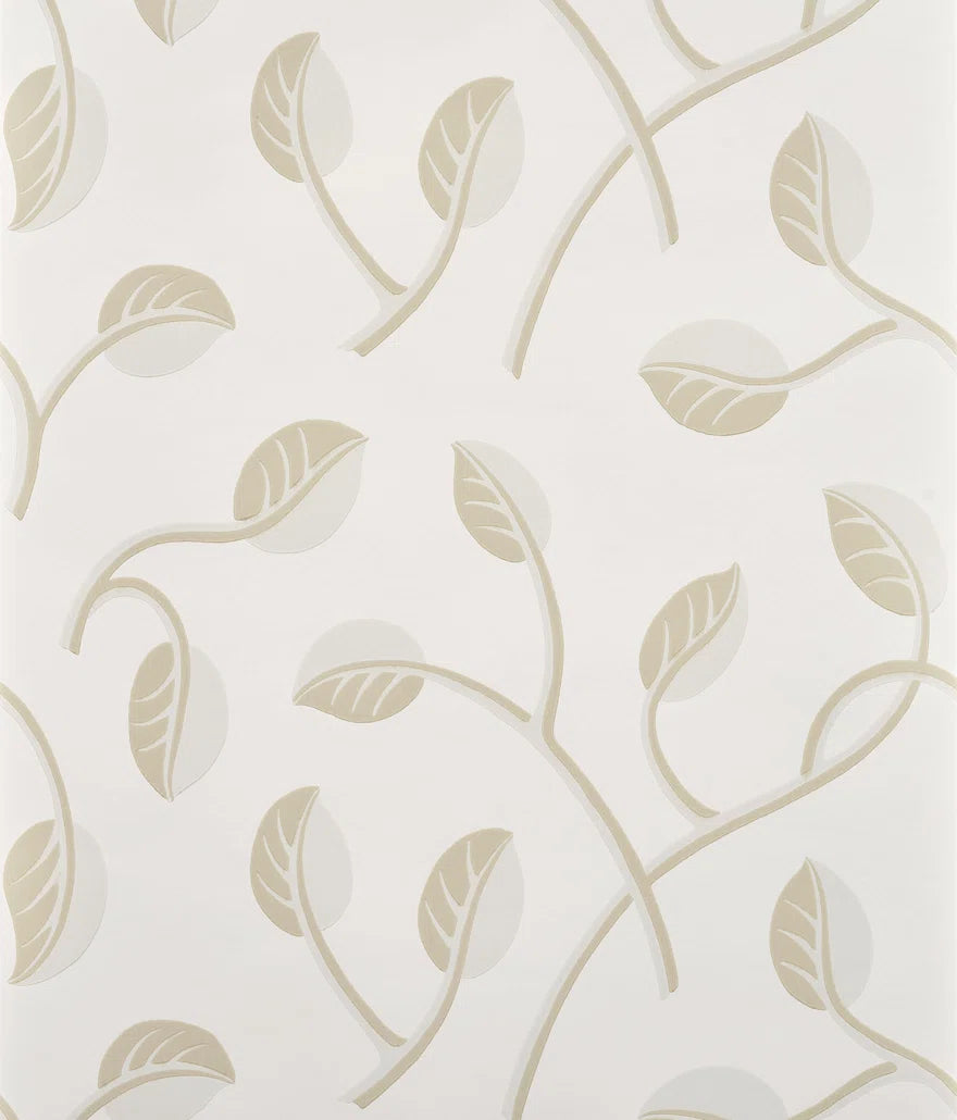 Pentagrama Beige - Les Dessins 5