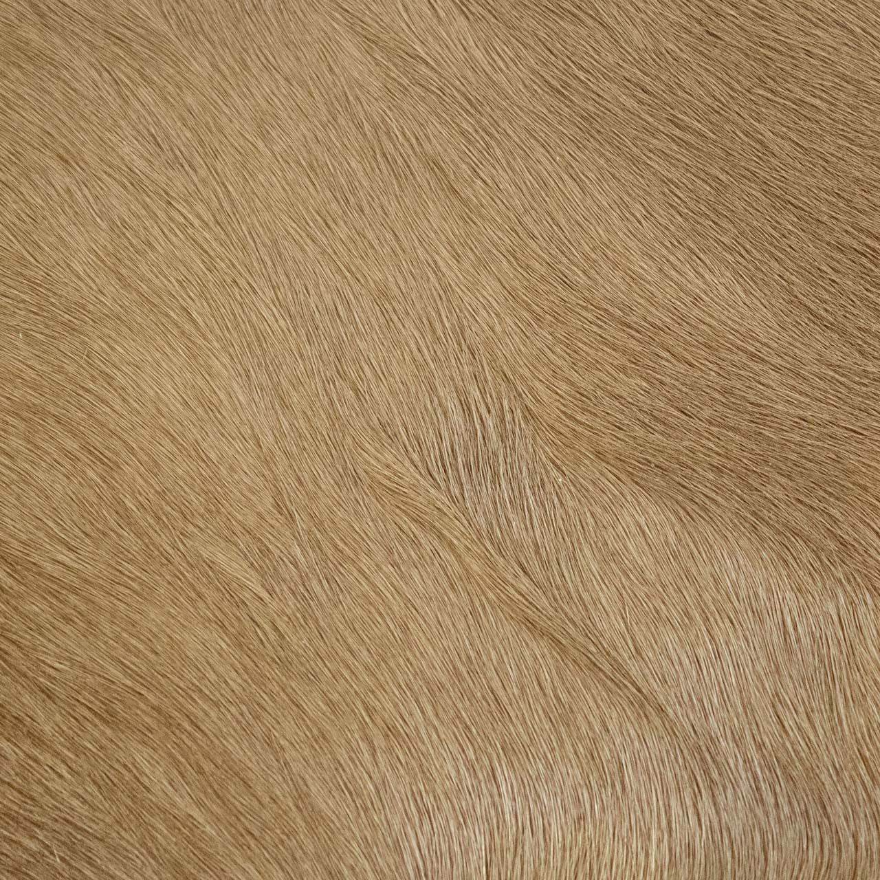 Rodeo Hairy Stone