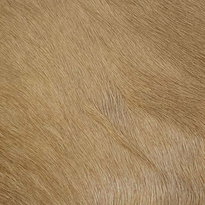 Rodeo Hairy Stone