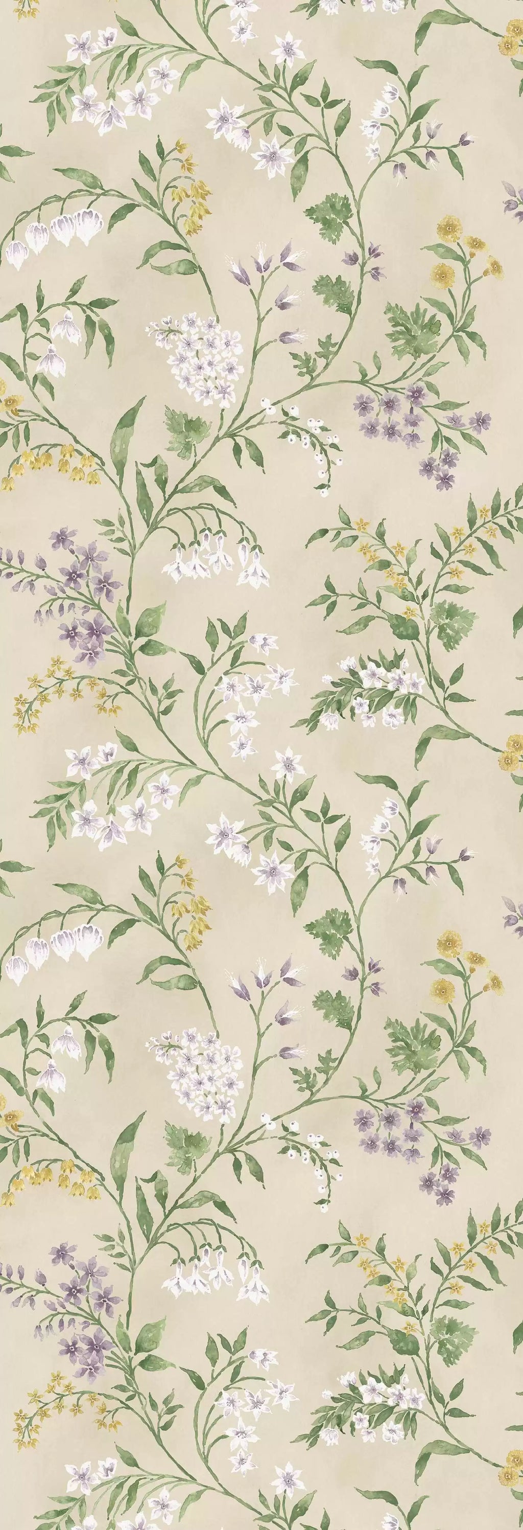 Almora (Signature Collection)