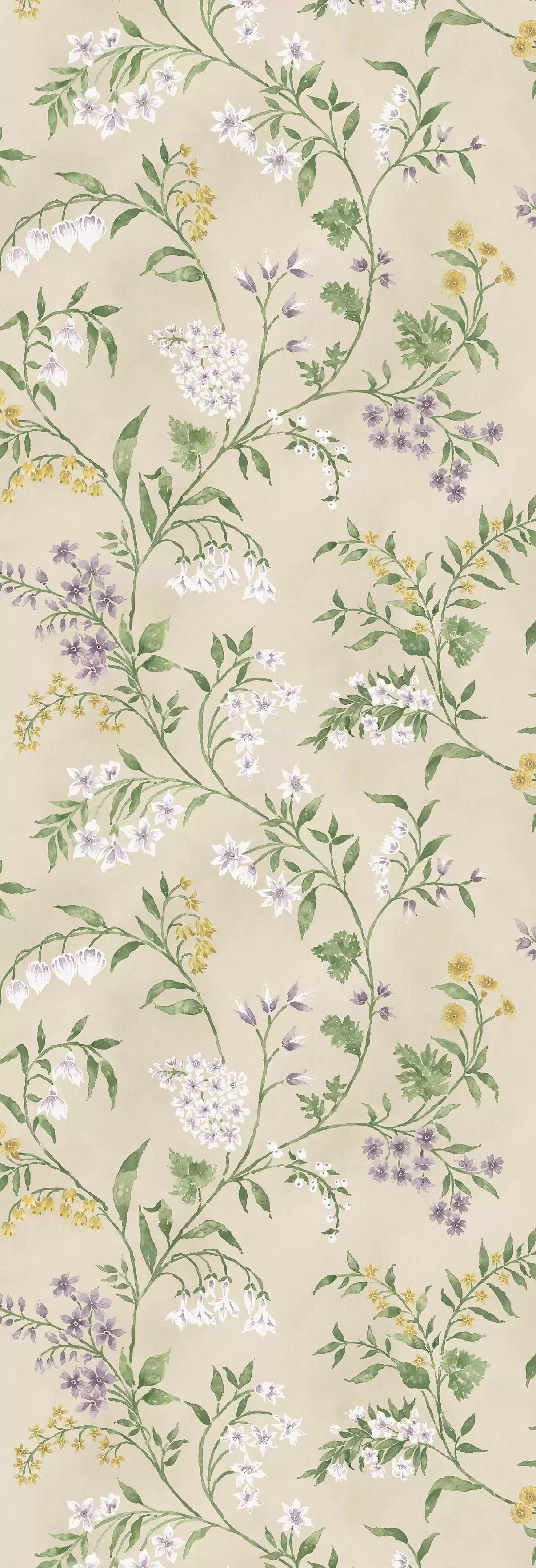 Almora (Signature Collection)