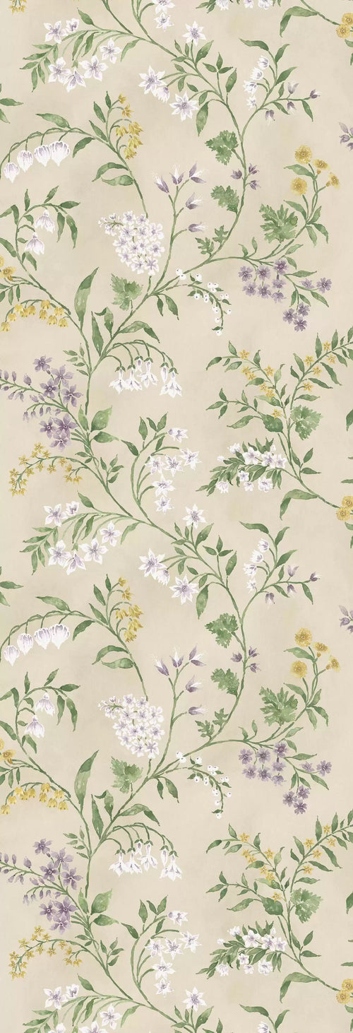 Almora (Signature Collection)
