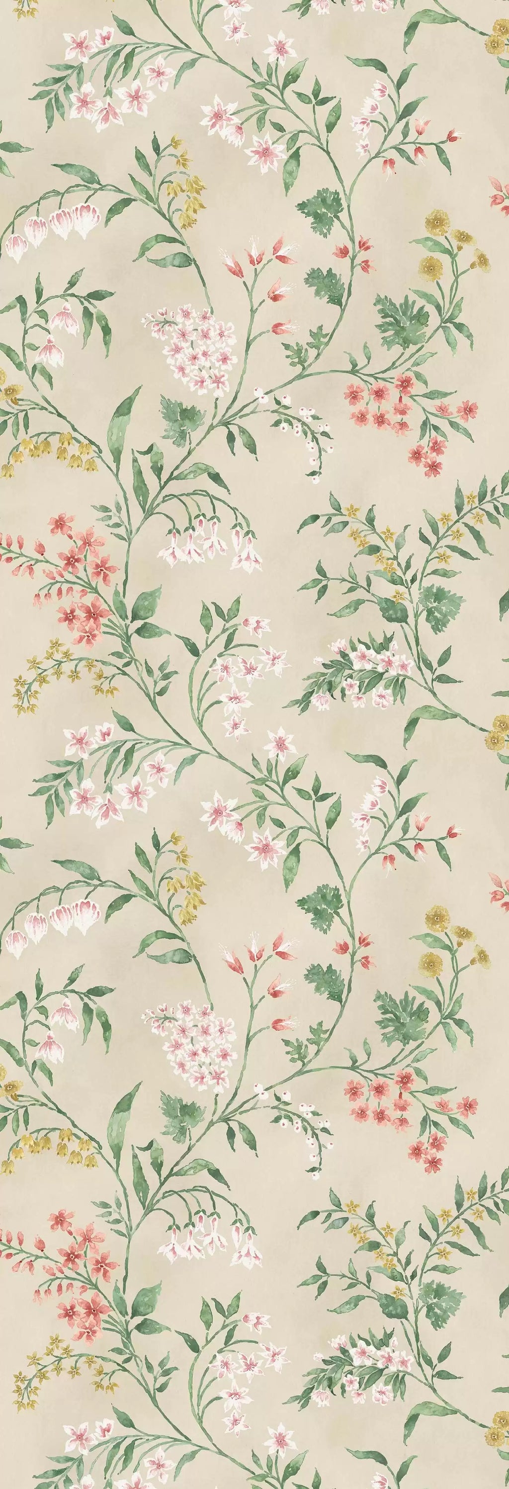 Almora (Signature Collection)
