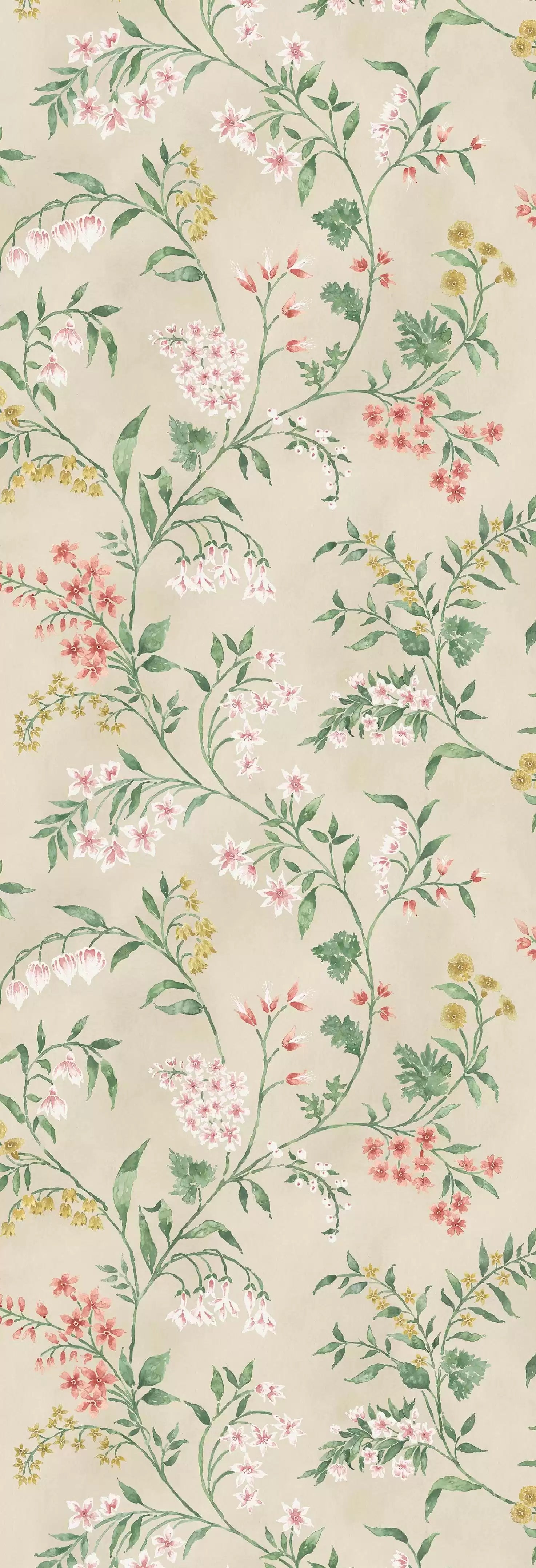 Almora (Signature Collection)