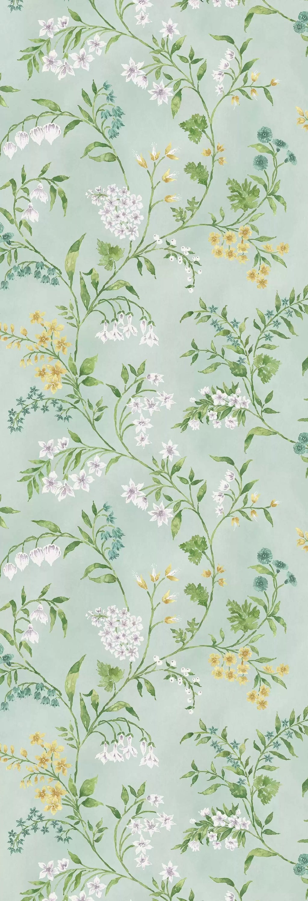 Almora (Signature Collection)