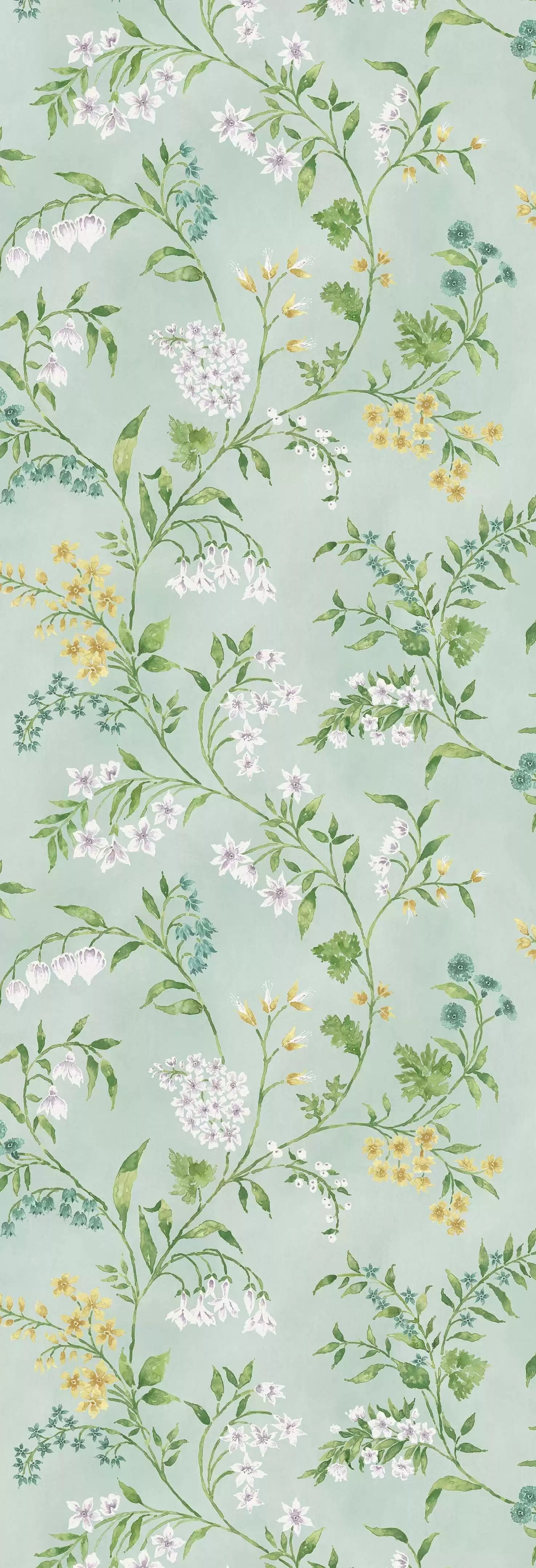 Almora (Signature Collection)