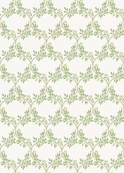 Arber (Signature Collection)