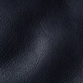 Waternatural Navy