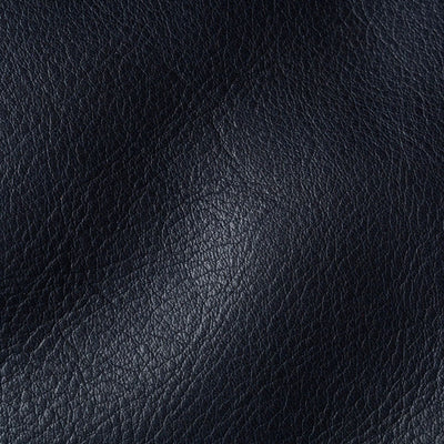 Waternatural Navy