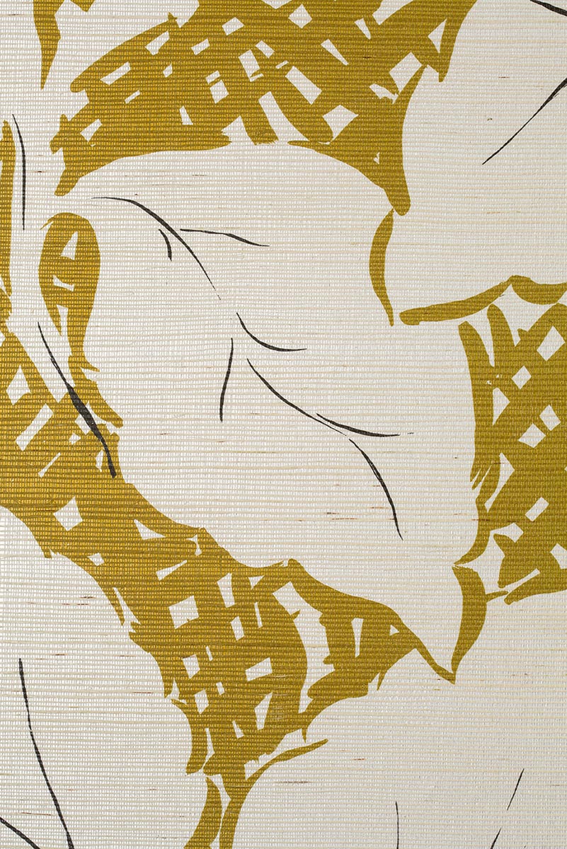 Daphne Blanc - Jardins Secrets