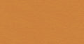 Gini Ochre