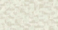 Fragments Ivory