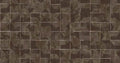 Fragments Ash
