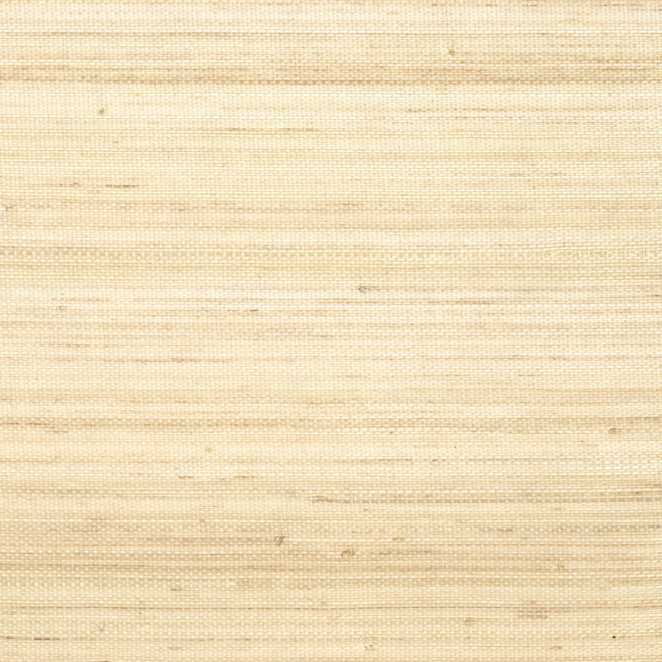 Pur abaca Saisir l'émotion - Maestria