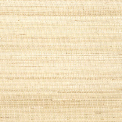 Pur abaca Saisir l'émotion - Maestria
