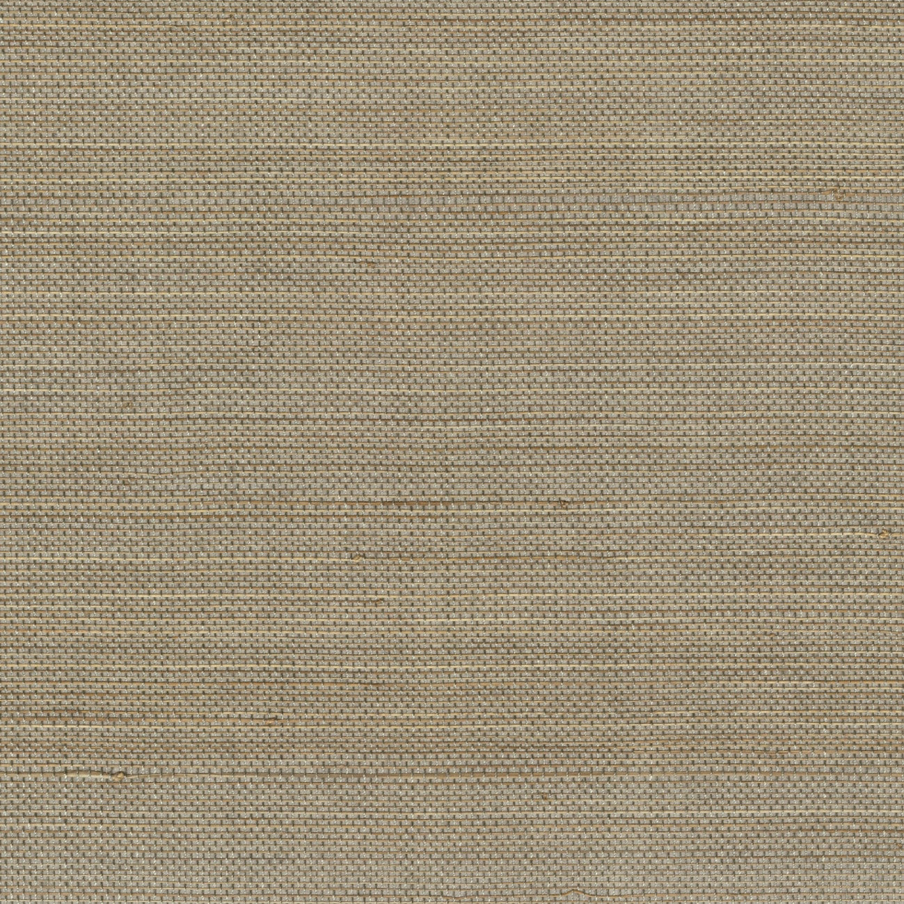 Pur abaca Apporter la lumière - Maestria