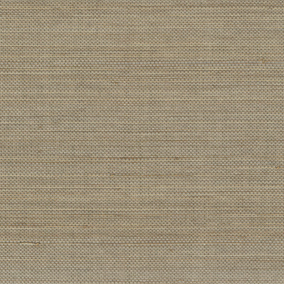 Pur abaca Apporter la lumière - Maestria