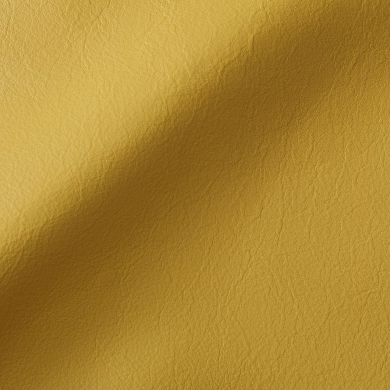 City Creme Caramel