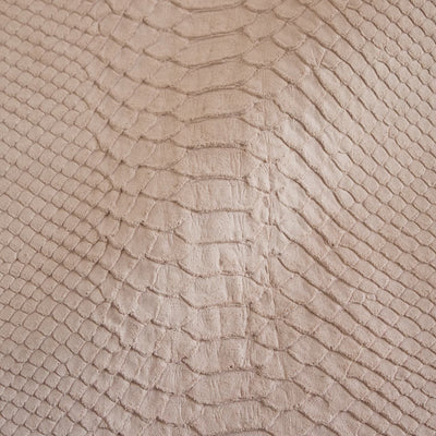 Taipan Cipria