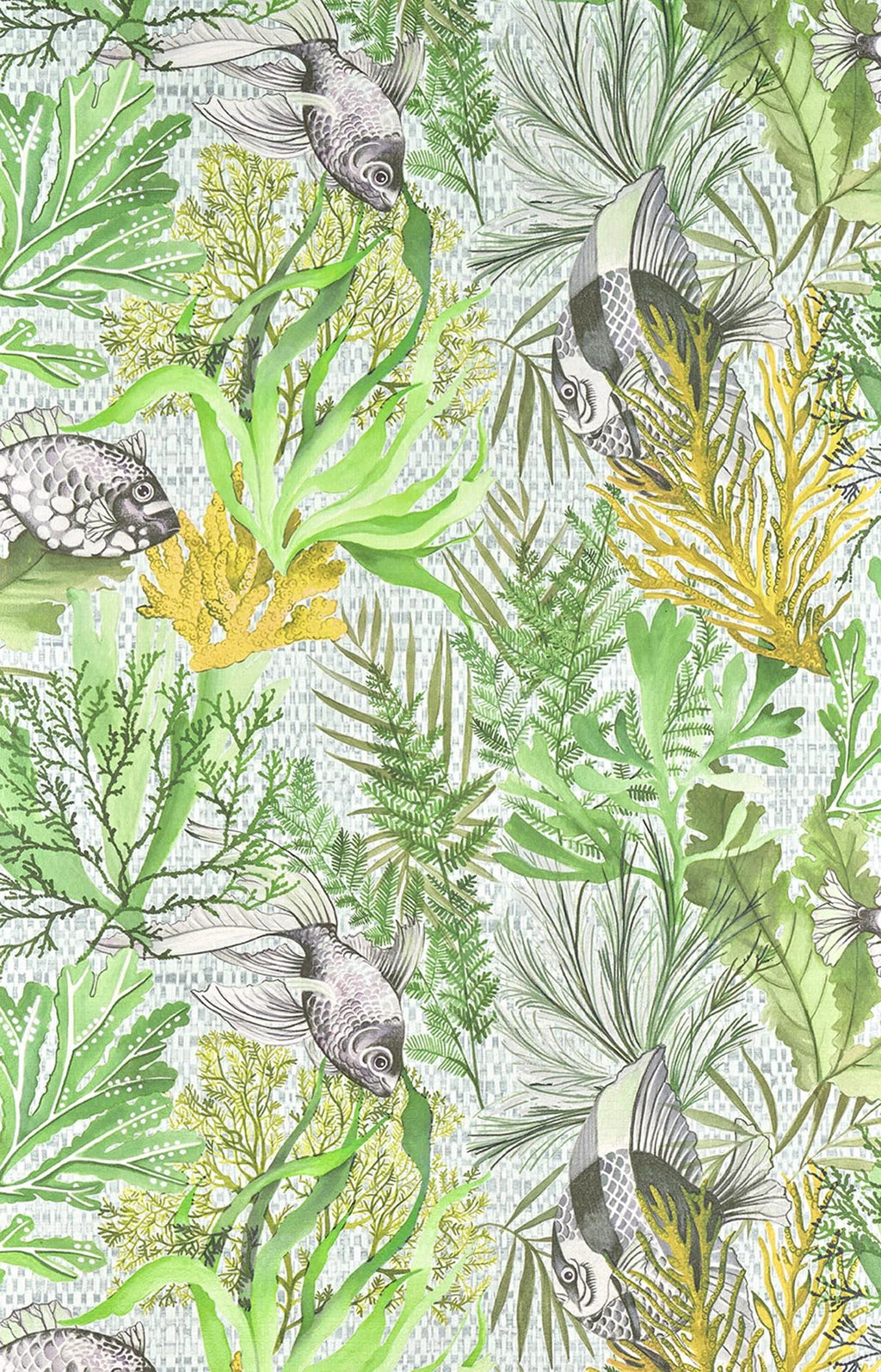Pleine mer Corail - Les Dessins 7