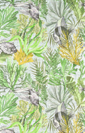 Pleine mer Cactus - Les Dessins 7